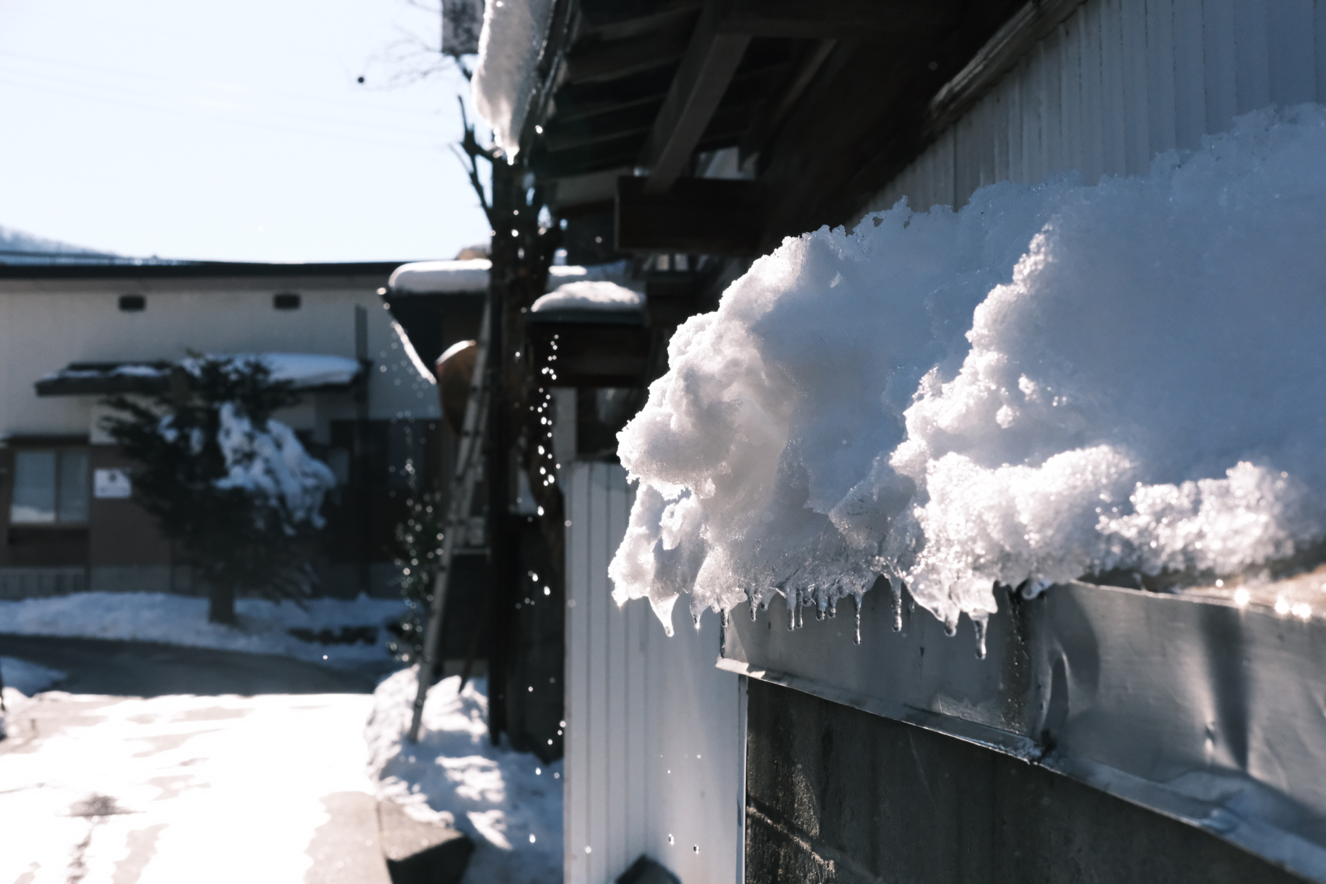 雪かきの服装と手袋の選び方|濡れない冷えない組み合わせ