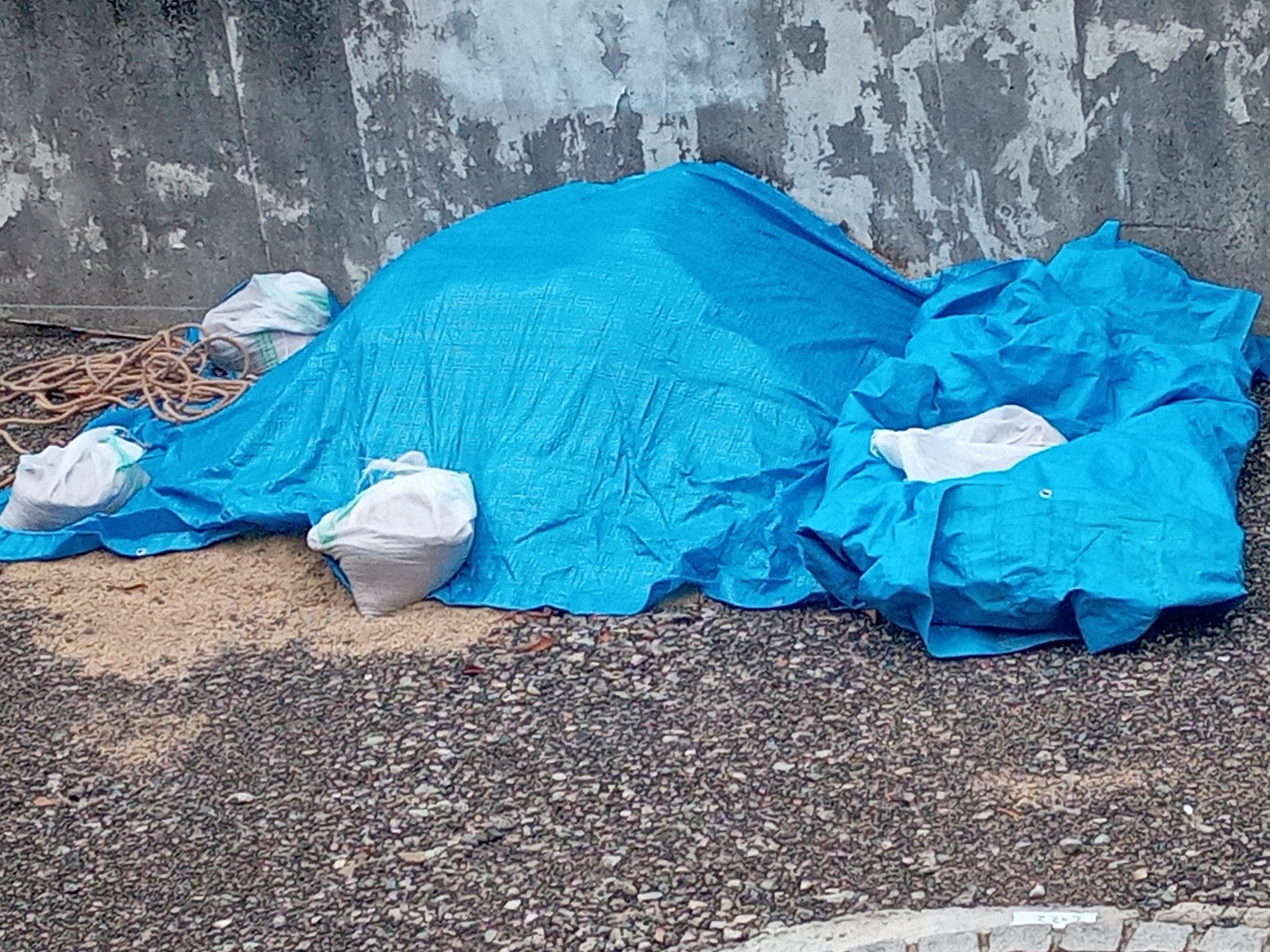台風前のベランダ対策|飛ばされやすい物と室内退避の基準